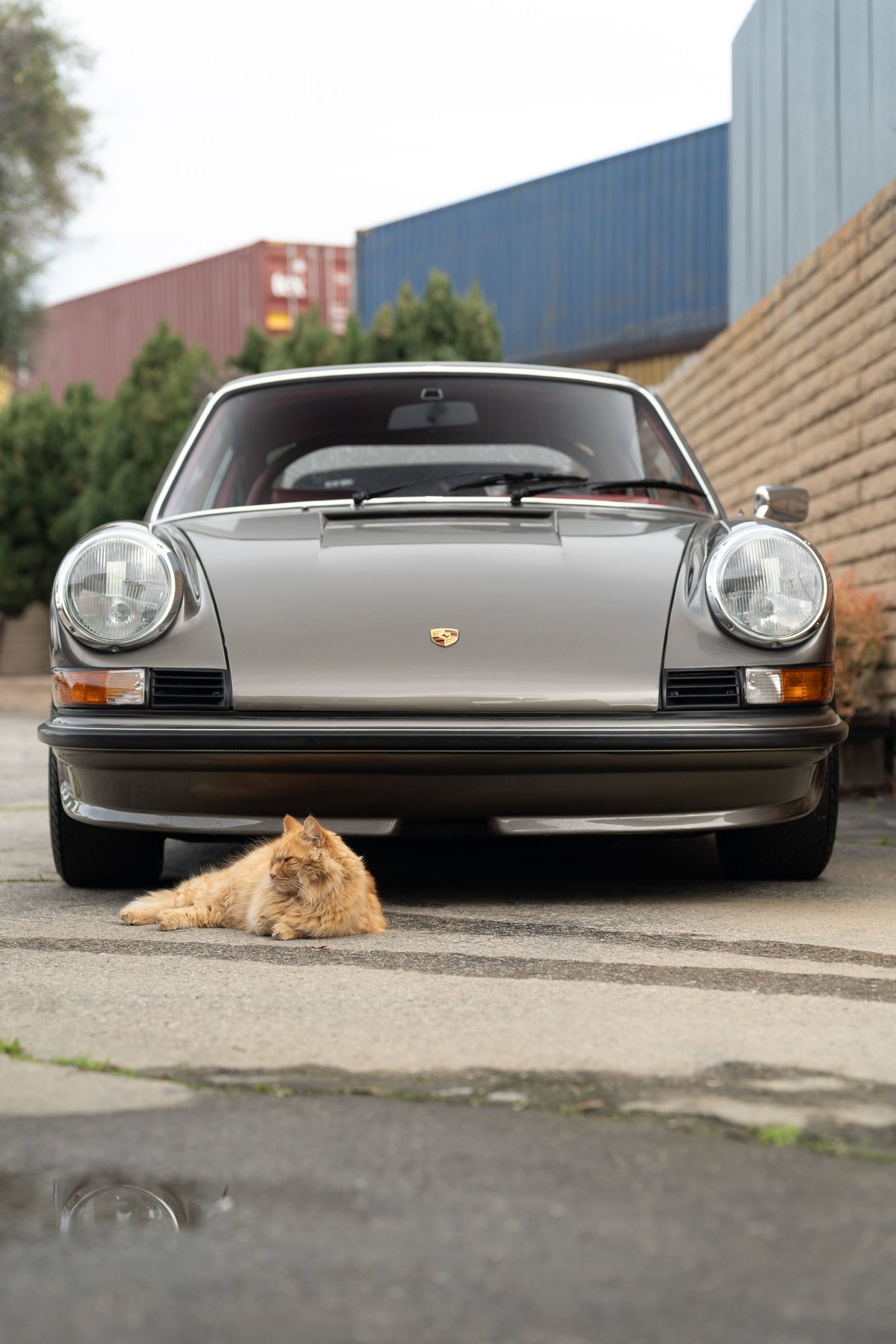 A silver 1970s Porsche 911 sits with a cat lounging in front of its bumper.