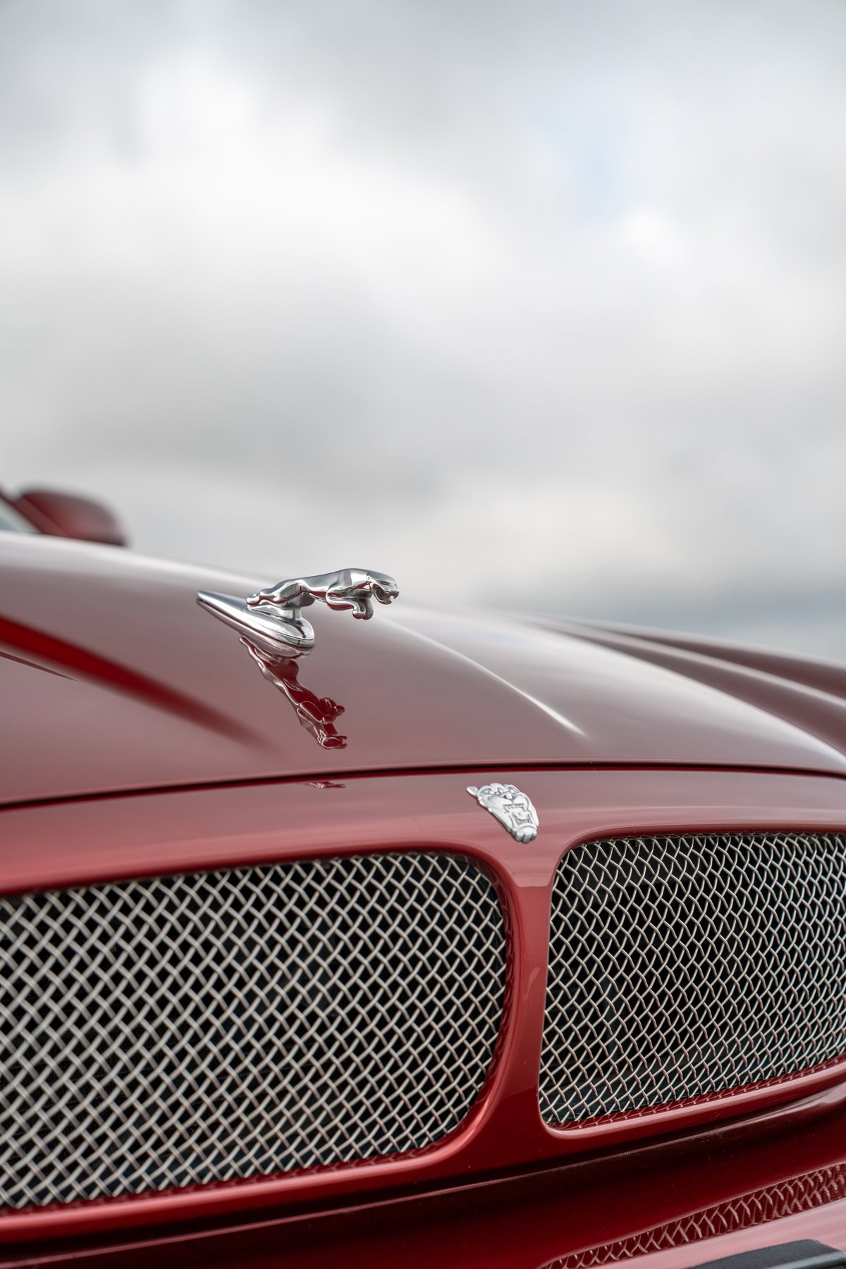 Radiance Red 2006 Jaguar XJR hood ornament and chrome grille detail.