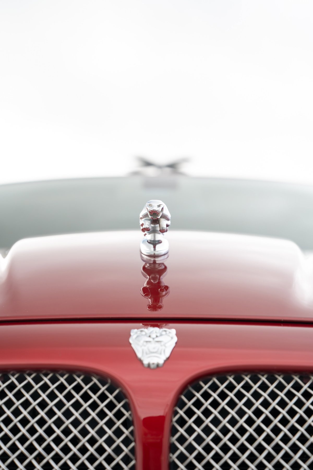 Red 2006 Jaguar XJR hood ornament and chrome grille detail.