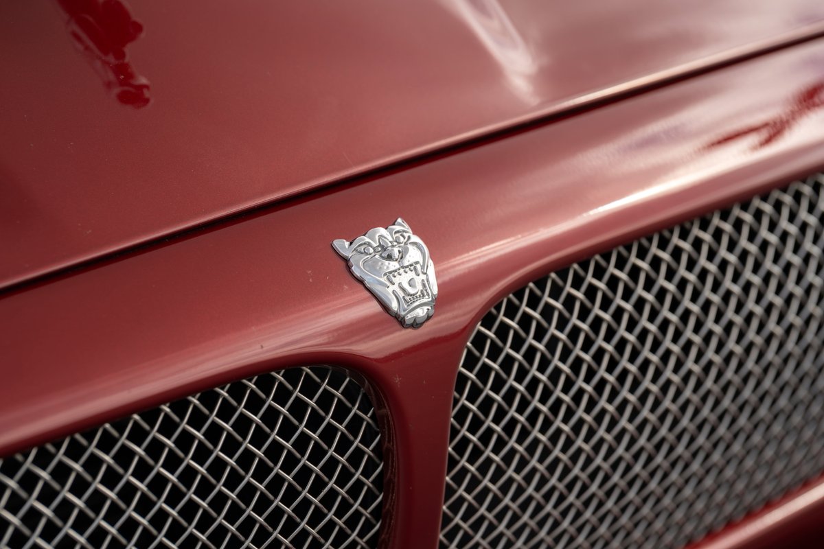 Close-up of a 2006 Jaguar XJR's chrome grille and leaping cat hood ornament. Radiance red paint.