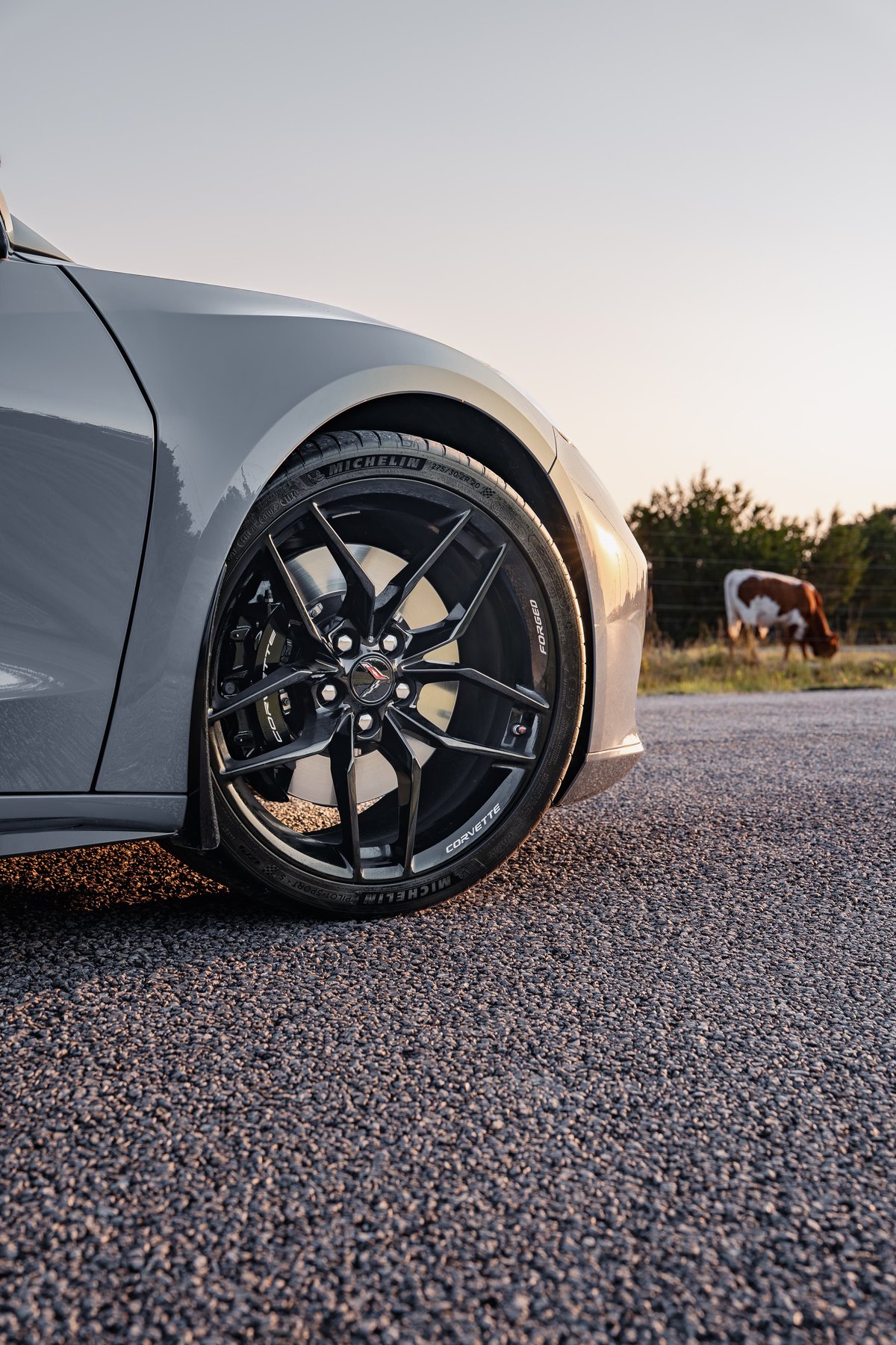 Gray 2025 Corvette Z06 with black multi-spoke rims and Michelin tires.