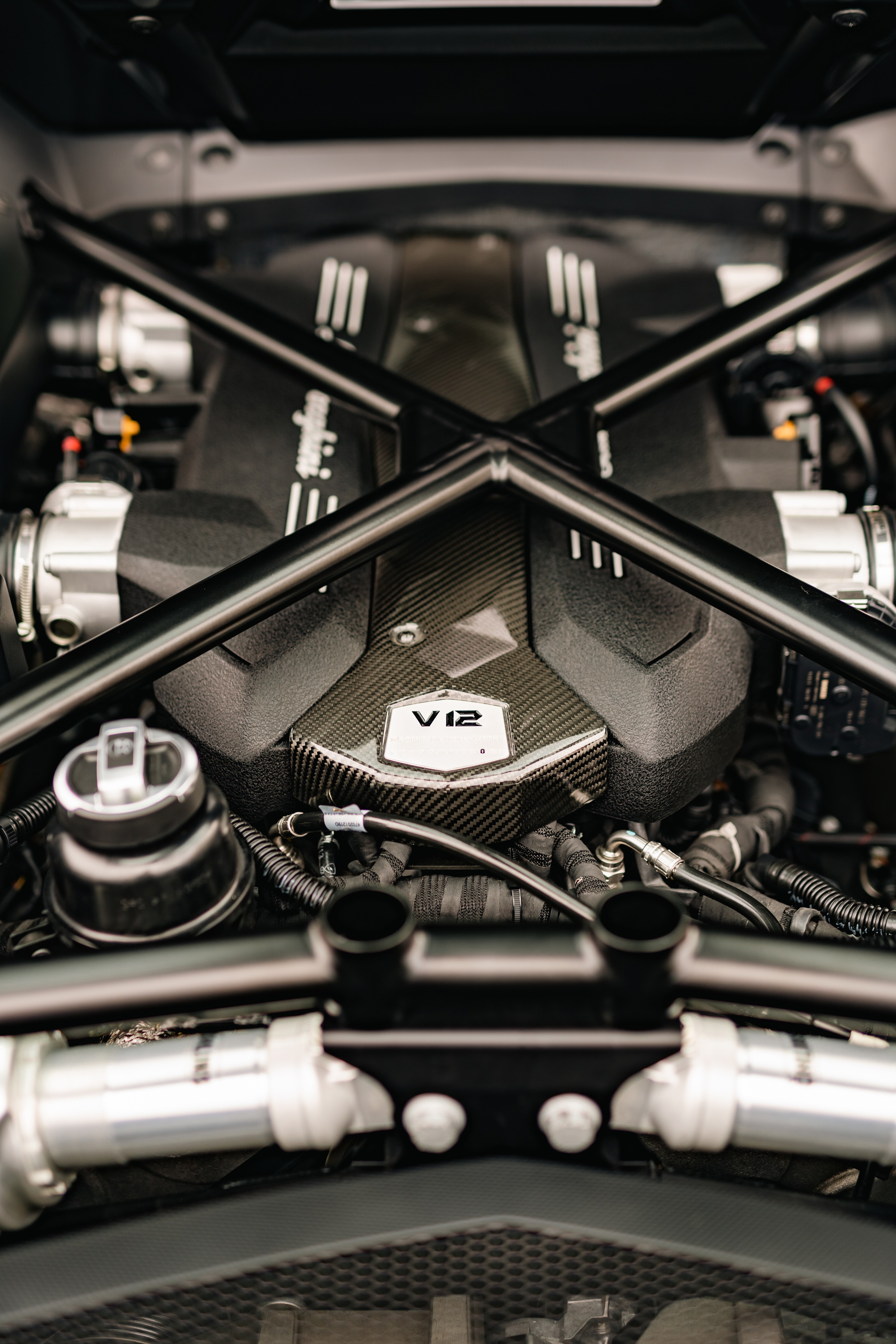 Lamborghini Aventador LP700-4 V12 engine with carbon fiber trim.