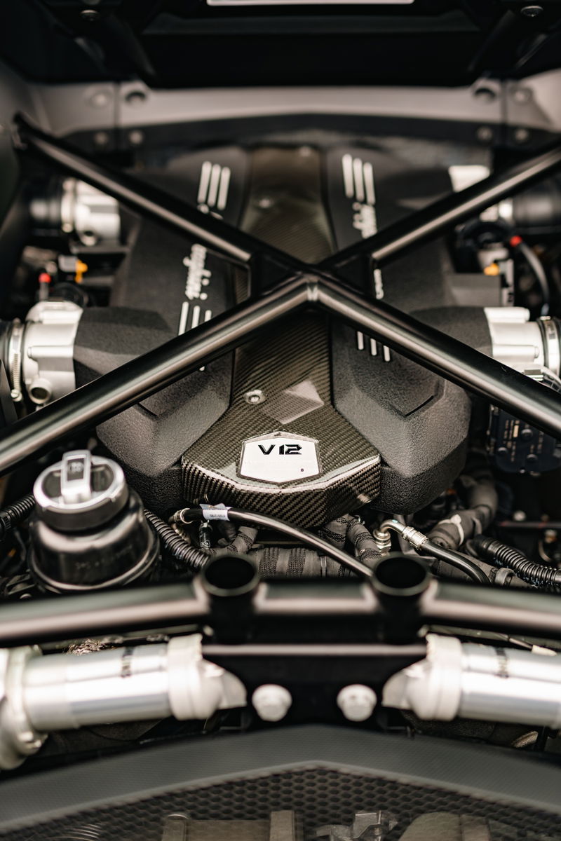 Lamborghini Aventador LP700-4 V12 engine with carbon fiber trim.