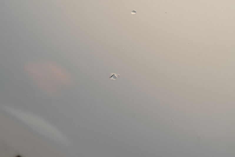 A white 1995 Land Rover Range Rover County with a small chip in the windshield.