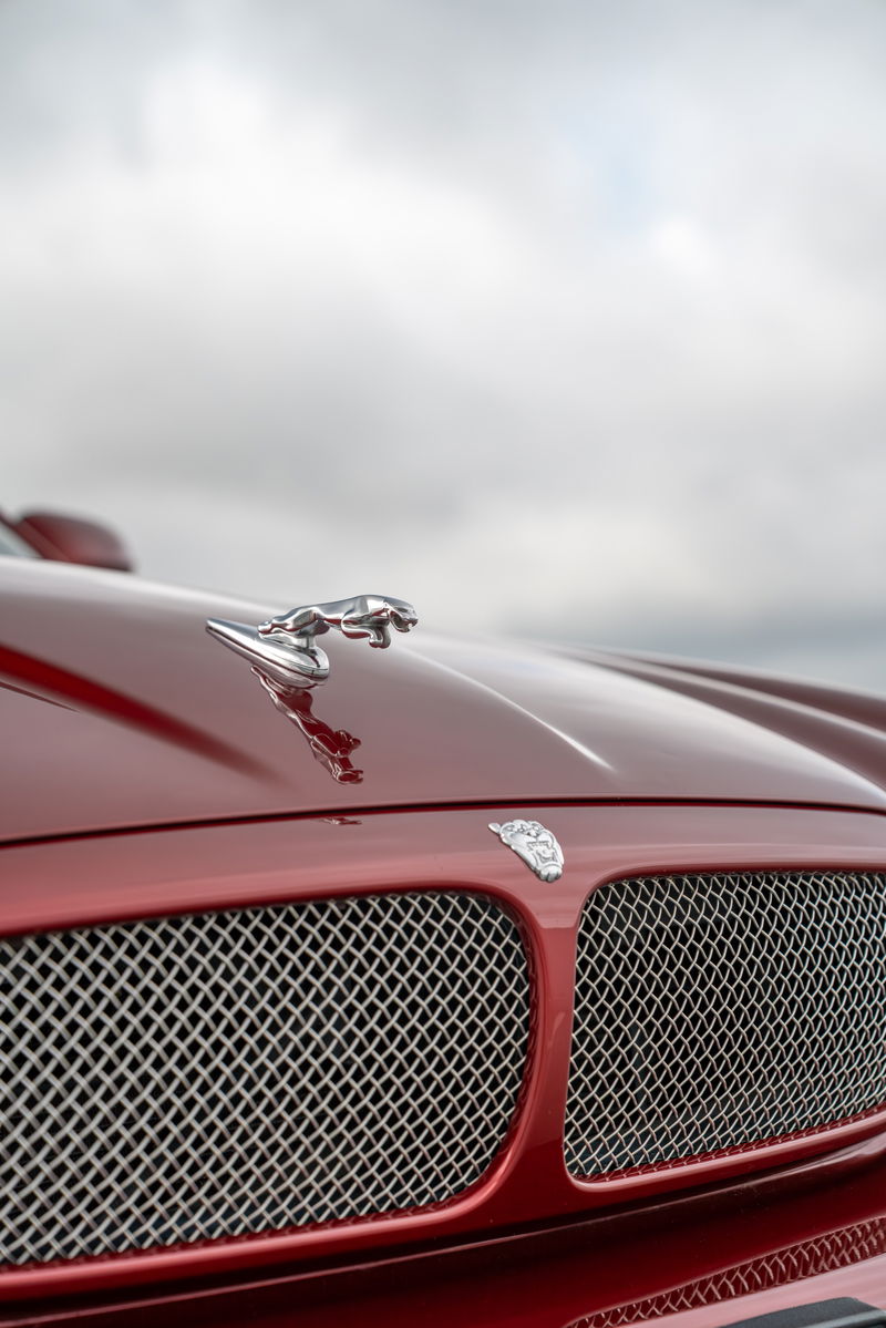 Radiance Red 2006 Jaguar XJR hood ornament and chrome grille detail.