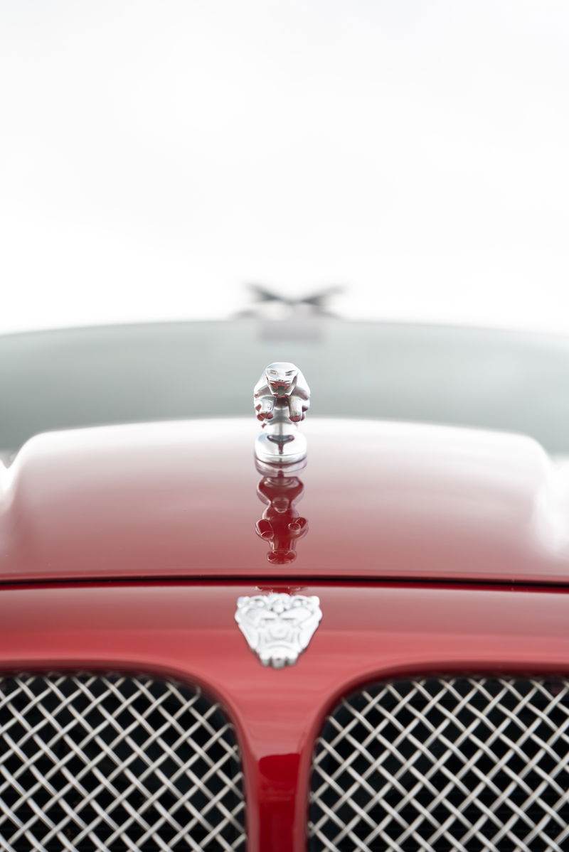 Red 2006 Jaguar XJR hood ornament and chrome grille detail.
